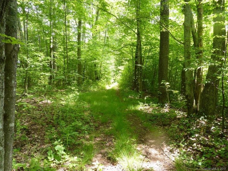 Tbd Running Bear Road