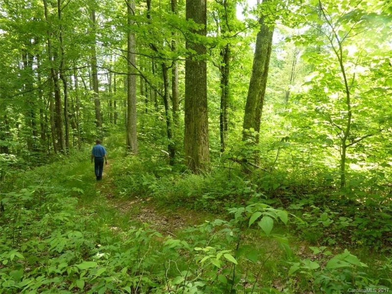 Property image 2 at Tbd Running Bear Road, Hot Springs, NC 28743