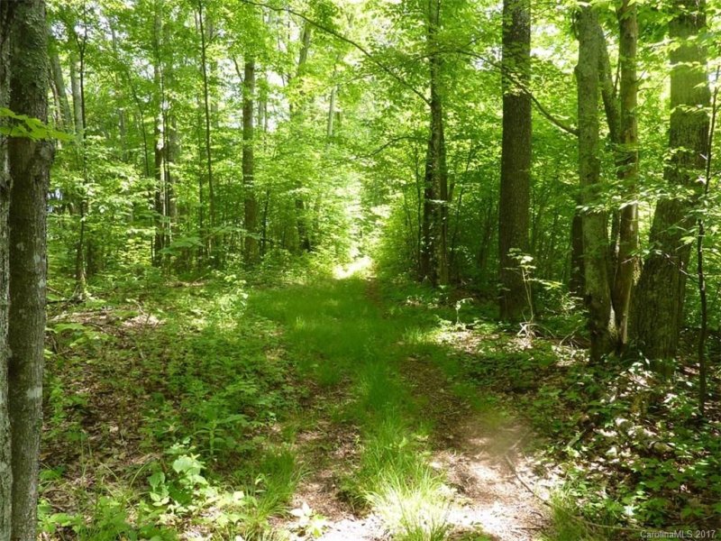 Property image 3 at Tbd Running Bear Road, Hot Springs, NC 28743