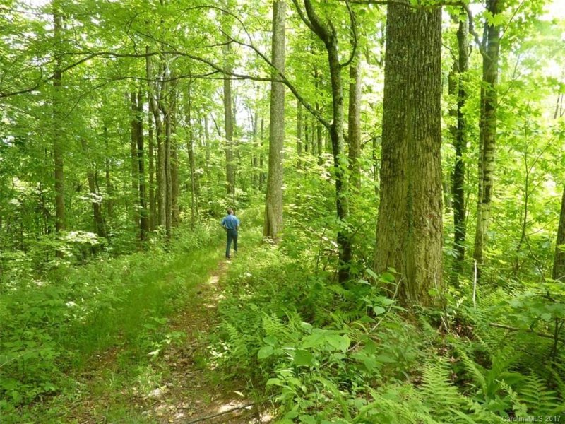 Property image 4 at Tbd Running Bear Road, Hot Springs, NC 28743