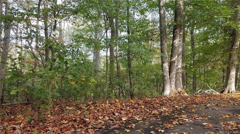 Property image 2 at Tbd Hawk Ridge Drive, Asheville, NC 28804