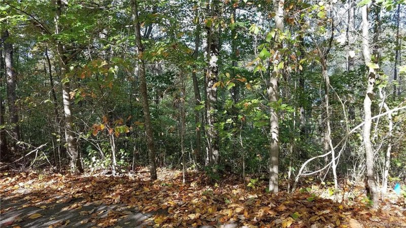 Property image 3 at Tbd Hawk Ridge Drive, Asheville, NC 28804