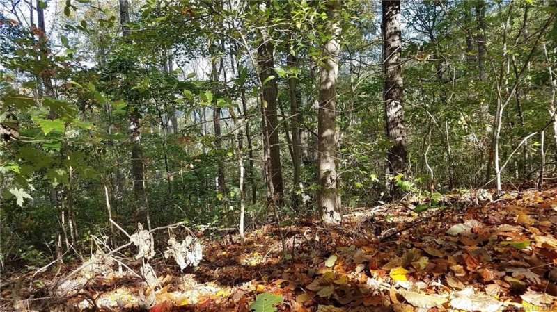 Property image 4 at Tbd Hawk Ridge Drive, Asheville, NC 28804