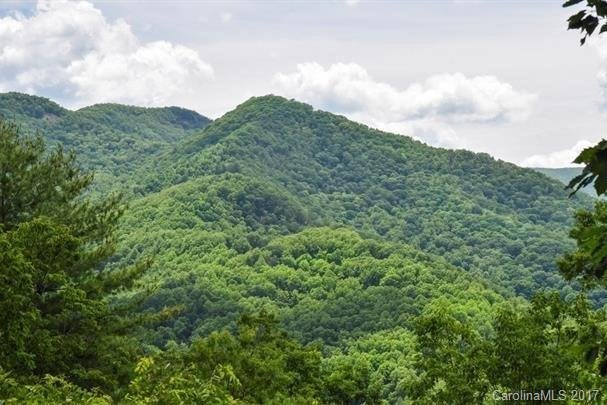 Property image 2 at 614 Rocky Top Trail, Barnardsville, NC 28709