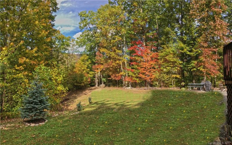 Property image 2 at 306 Staghorn Drive, Hot Springs, NC 28743