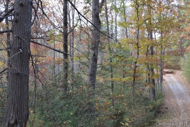 Property image 5 at 499 Granite Ridge, Nebo, NC 28761