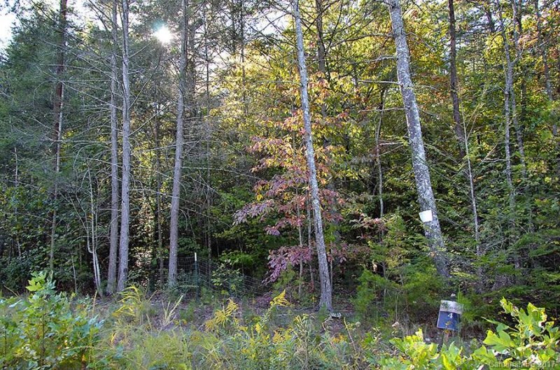 Property image 4 at Vl 4 James View Road, Marion, NC 28752