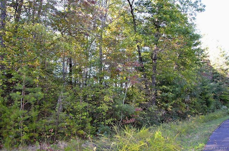 Property image 5 at Vl 4 James View Road, Marion, NC 28752