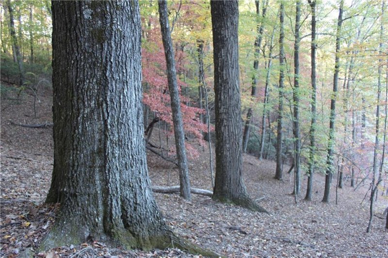 9999 Shining Rock Path