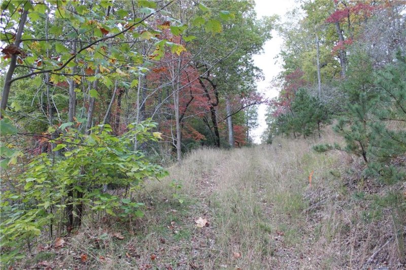 Property image 3 at 9999 Shining Rock Path, Mills River, NC 28759