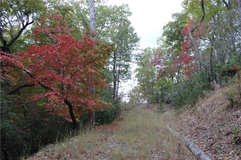 Property image 4 at 9999 Shining Rock Path, Mills River, NC 28759