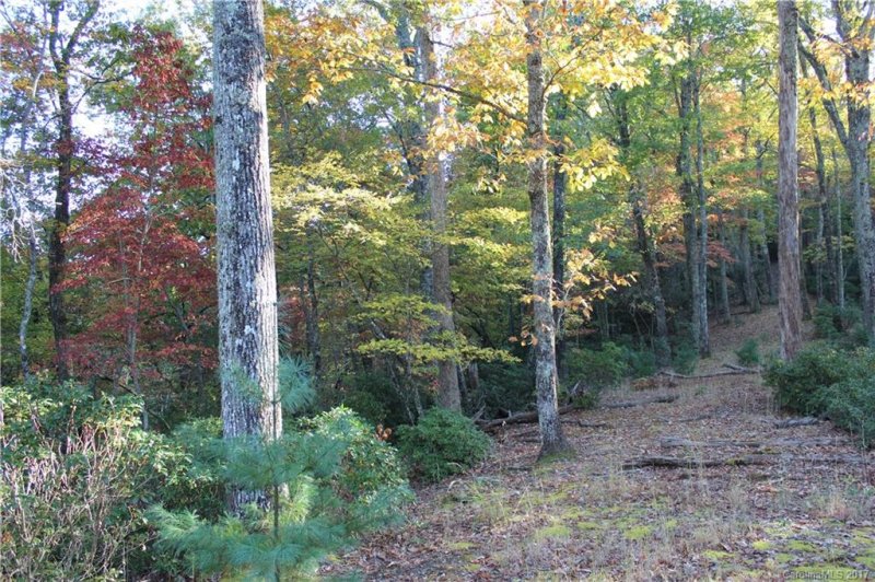 Property image 5 at 9999 Shining Rock Path, Mills River, NC 28759