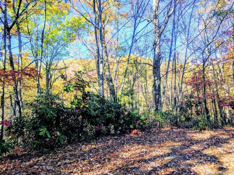 Property image 4 at Off Keull Road, Waynesville, NC 28785