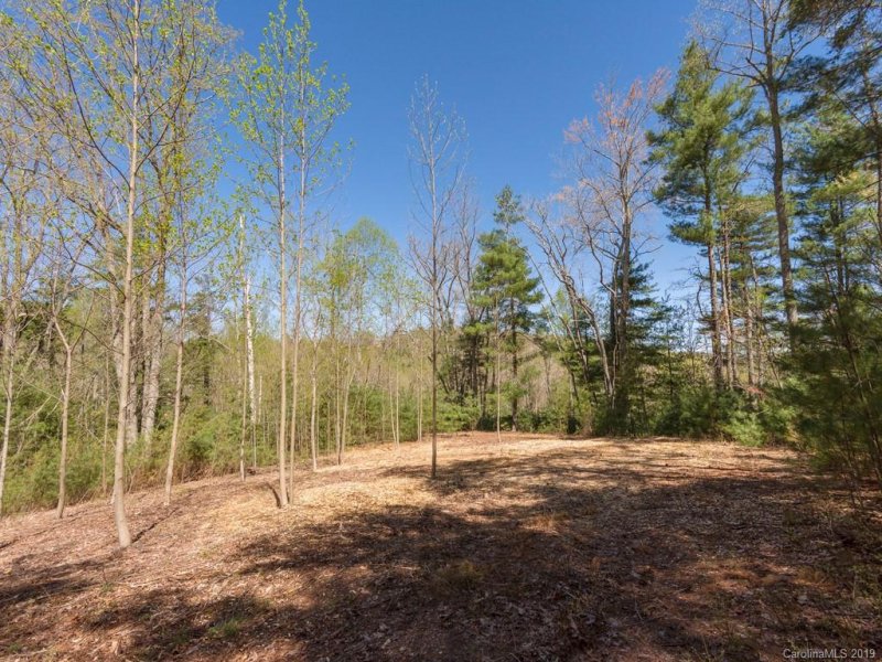 Property image 2 at 269 Monarch Road, Hendersonville, NC 28739