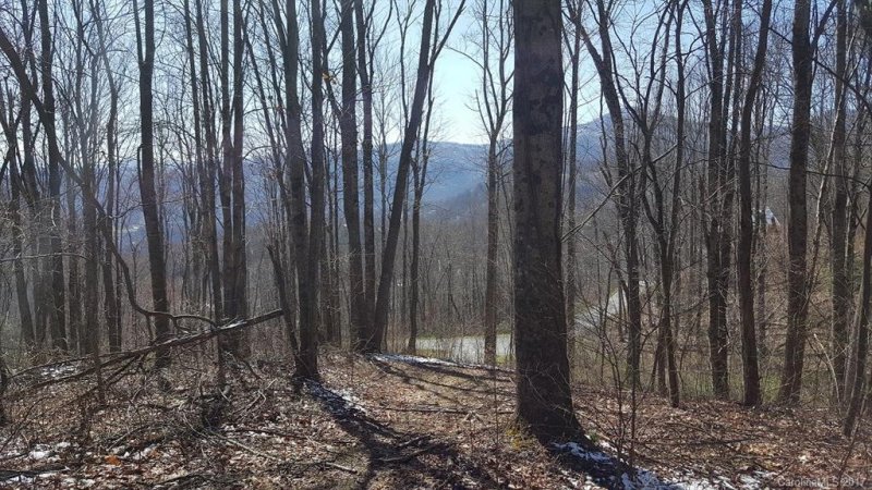 Property image 3 at Lot 21 Mountain Watch Drive, Waynesville, NC 28785