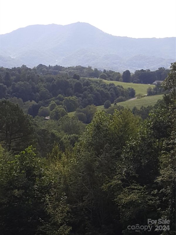 Property image 5 of 62 Turkey Hollow Drive in The Glens Of Ironduff, Waynesville, NC 28785