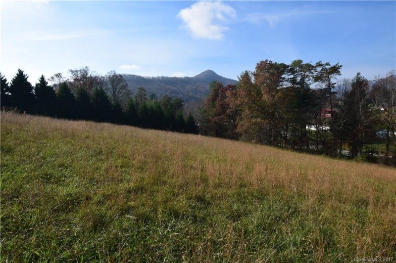 Property image 2 at 402 Tillery Road, Leicester, NC 28748