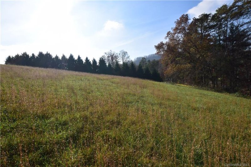 Property image 5 at 402 Tillery Road, Leicester, NC 28748