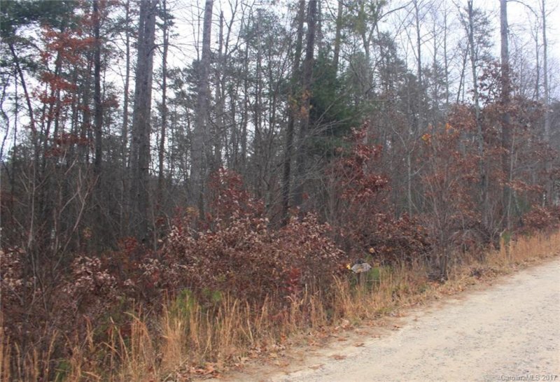 Property image 2 at 30 Bachelder Drive, Candler, NC 28715