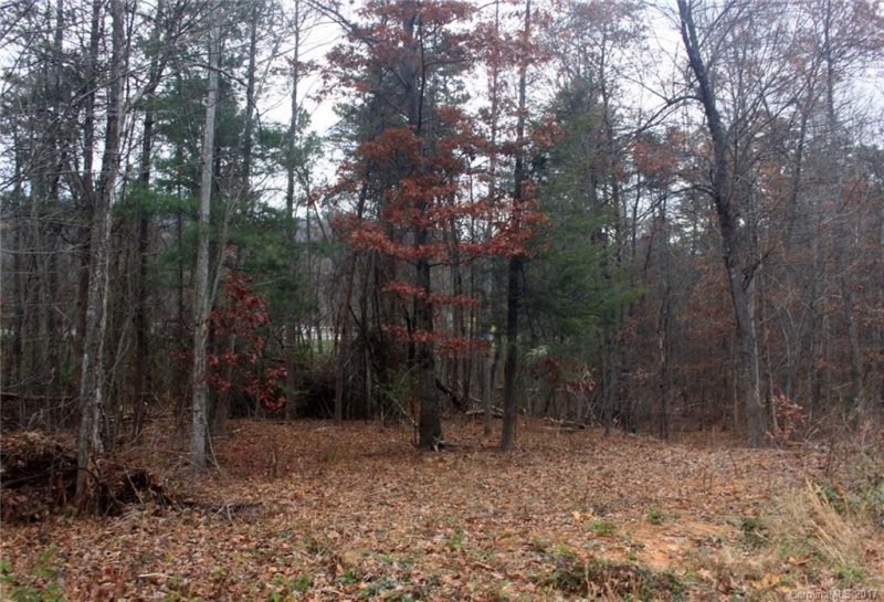 Property image 2 at 22 Bachelder Drive, Candler, NC 28715