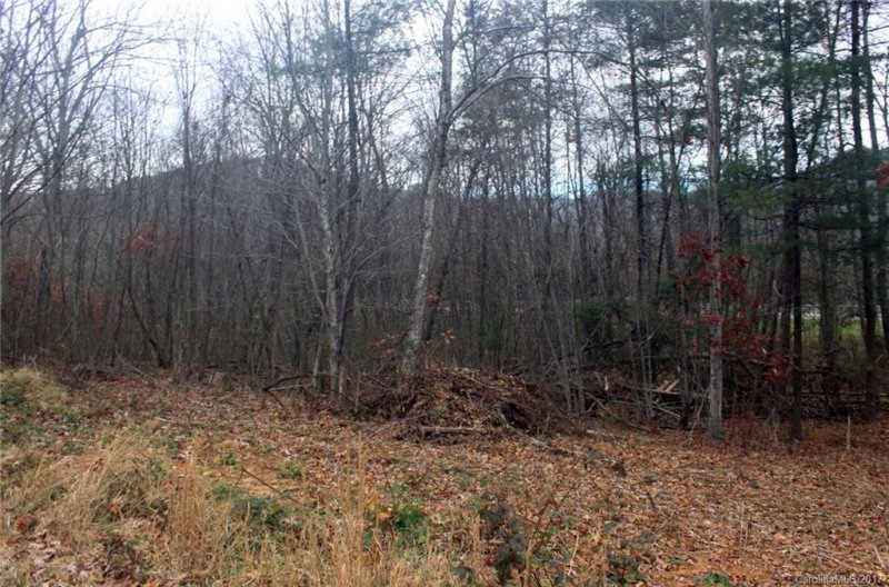 Property image 3 at 22 Bachelder Drive, Candler, NC 28715