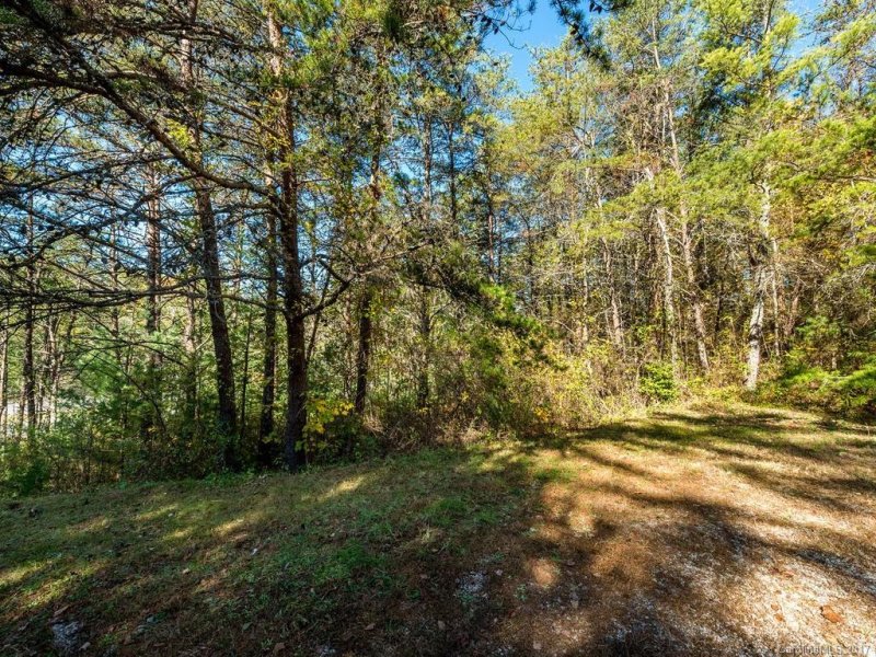 Property image 2 at 41 Clearview Estates Drive, Weaverville, NC 28787