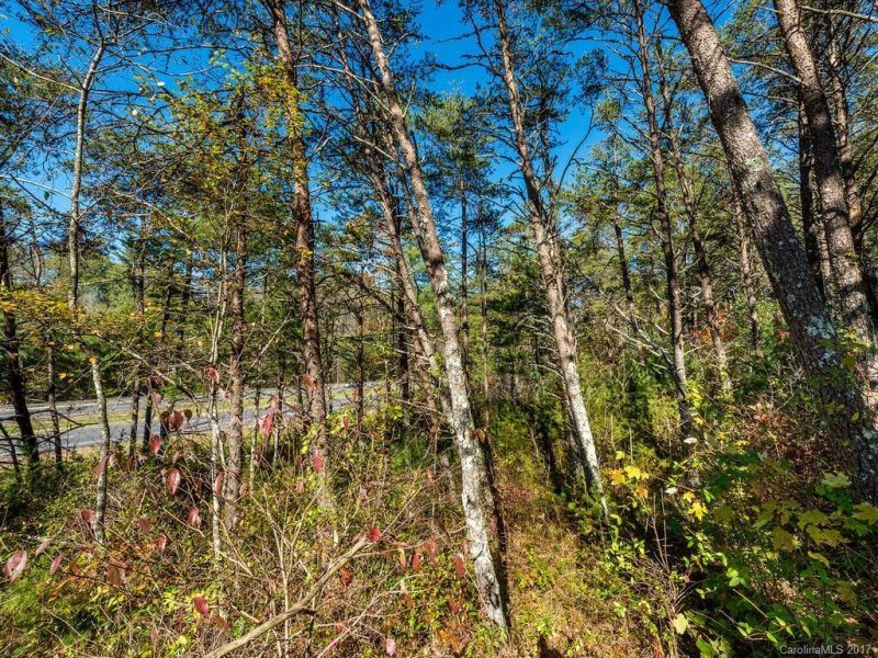 Property image 4 at 41 Clearview Estates Drive, Weaverville, NC 28787