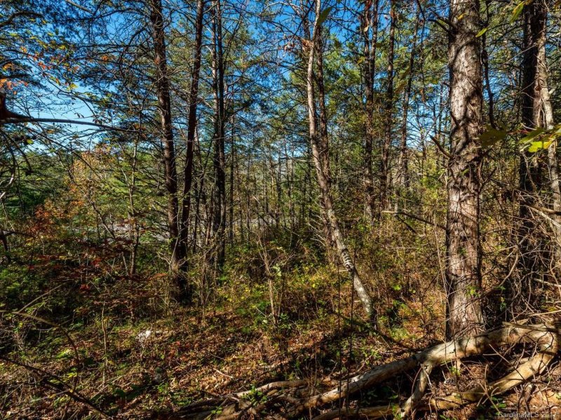 Property image 5 at 41 Clearview Estates Drive, Weaverville, NC 28787