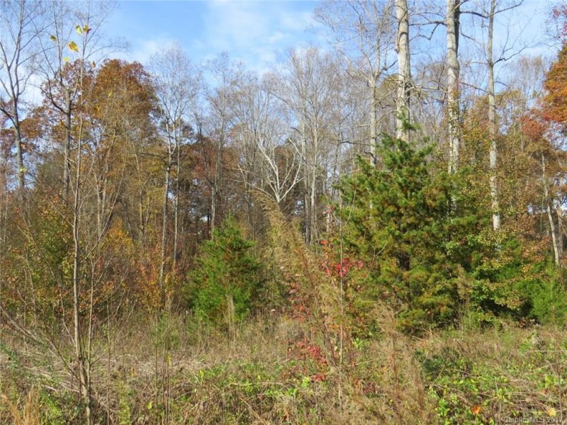 Property image 3 at 194 Donsdale Drive, Statesville, NC 28625