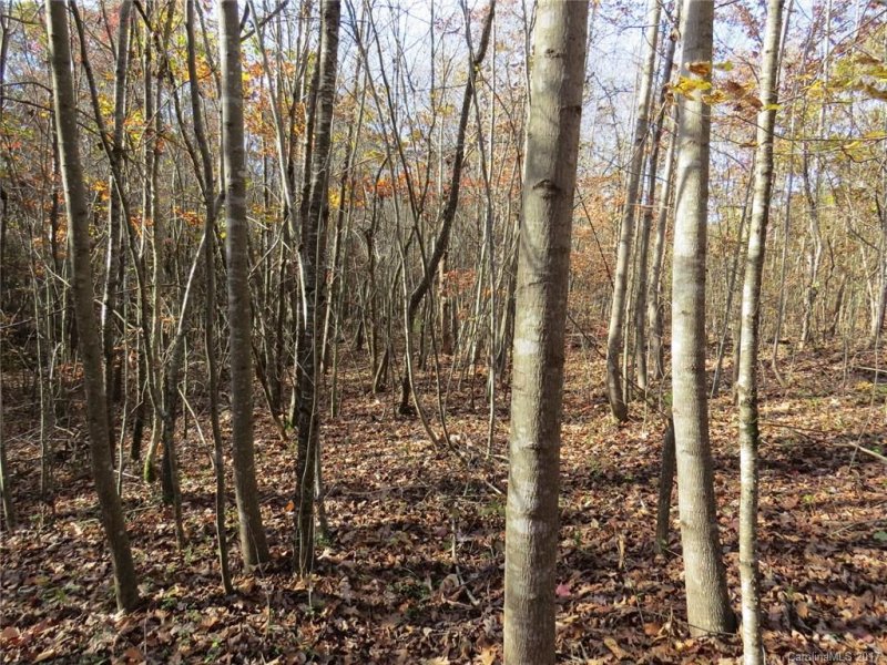 Property image 5 at 242 Donsdale Drive, Statesville, NC 28625