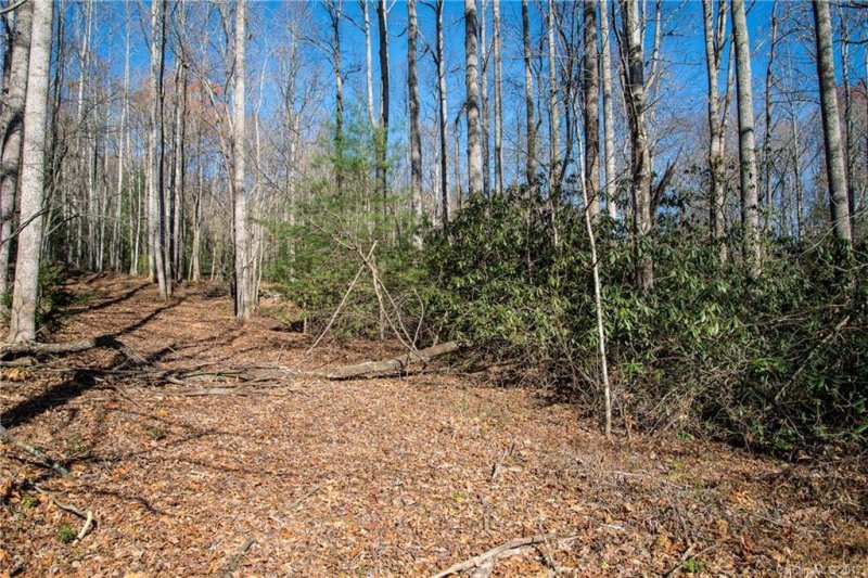 Property image 2 at 9999 Hunters Field Lane, Mills River, NC 28759