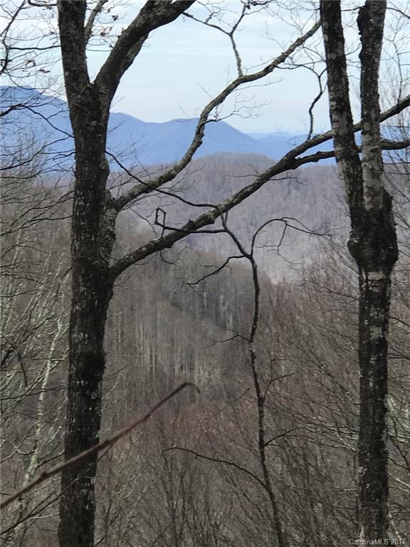 Property image 2 at 56 Pleasant Point, Clyde, NC 28721