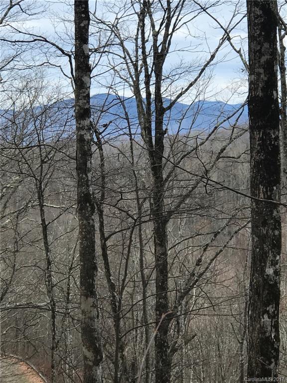 Property image 3 at 56 Pleasant Point, Clyde, NC 28721