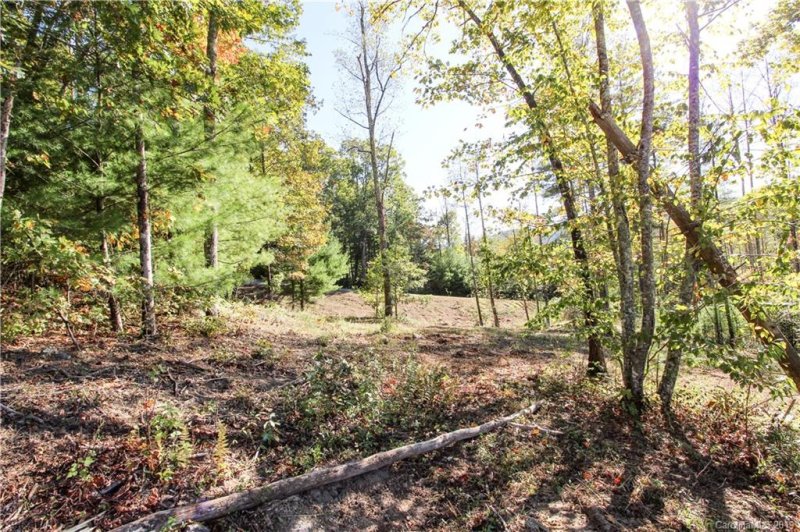 Property image 2 at 258 Crystal Heights Drive, Hendersonville, NC 28739