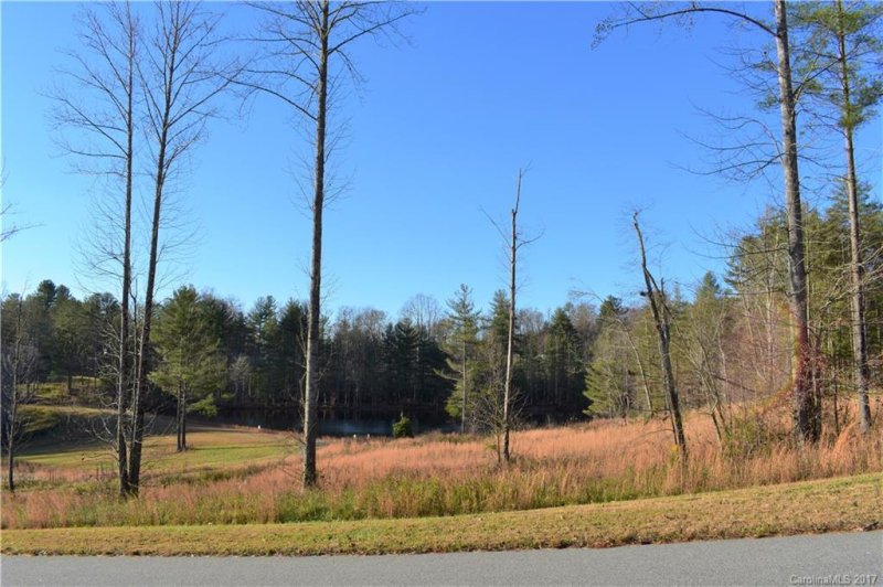 Property image 3 at 203 Crystal Heights Drive, Hendersonville, NC 28739