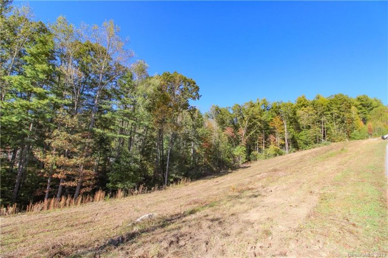 Property image 3 at 65 Crystal Lake Drive, Hendersonville, NC 28739