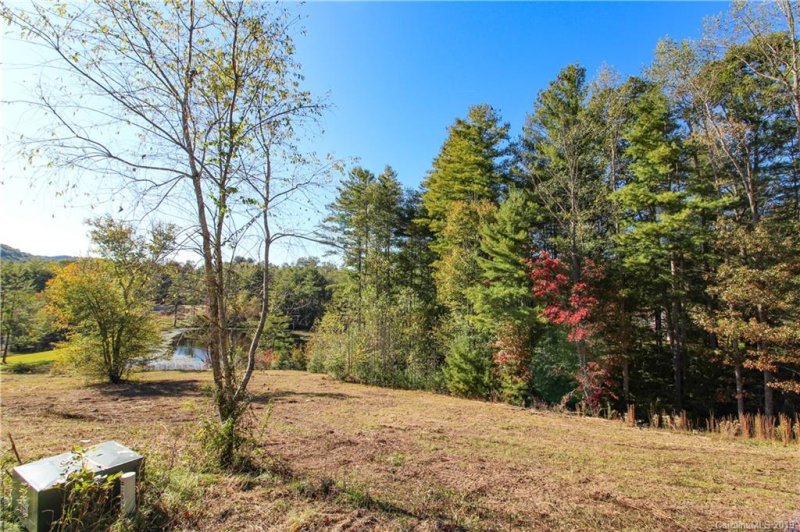 Property image 2 at 97 Crystal Lake Drive, Hendersonville, NC 28739