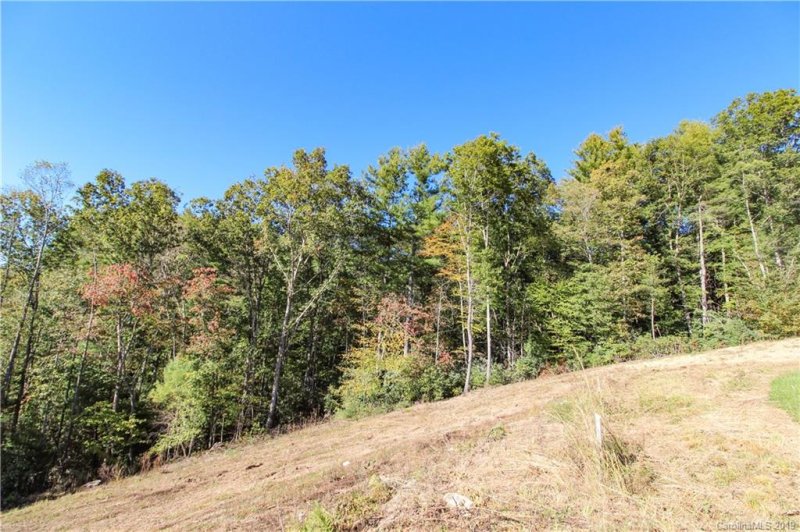 Property image 5 at 97 Crystal Lake Drive, Hendersonville, NC 28739