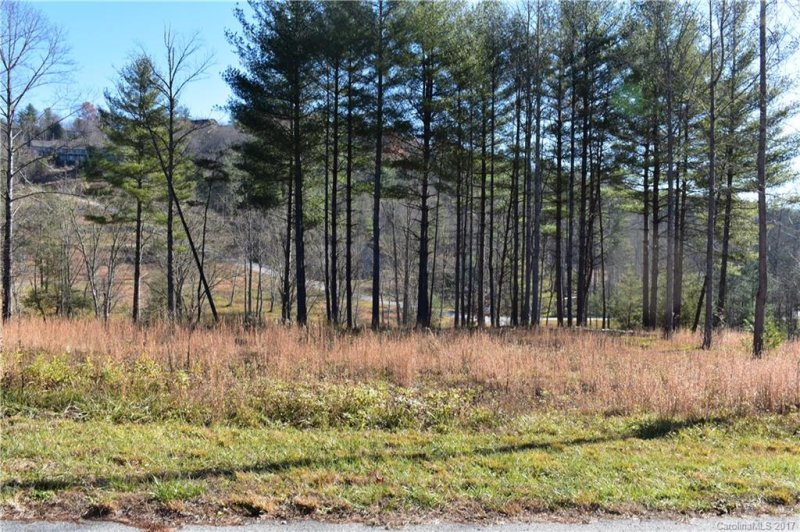 Property image 4 at 0 Crystal Heights Drive, Hendersonville, NC 28739