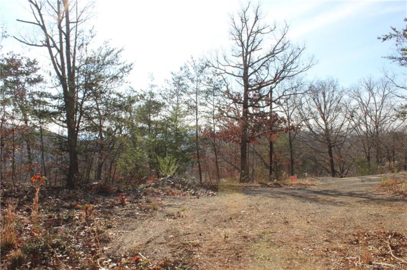 Property image 3 at 191 Baird Cove Lane, Asheville, NC 28804