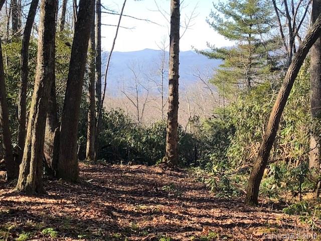 Property image 3 at 3314 Reserve Road, Pisgah Forest, NC 28768