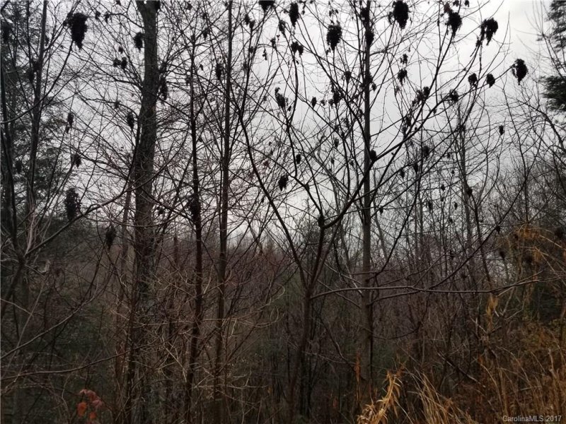 Property image 2 at 87 Waterfall Trail, Marshall, NC 28753