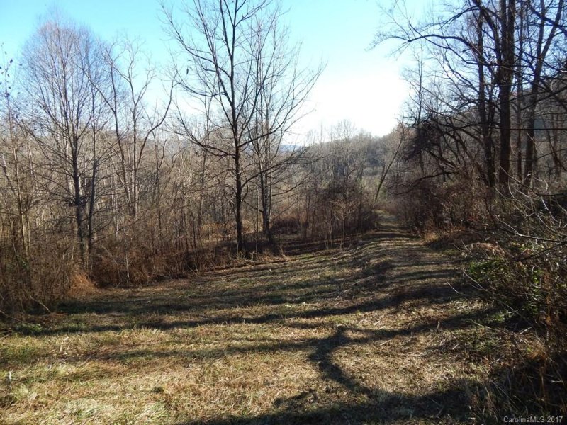 Property image 2 at Lot 11 Coyote Hollow Road, Waynesville, NC 28785