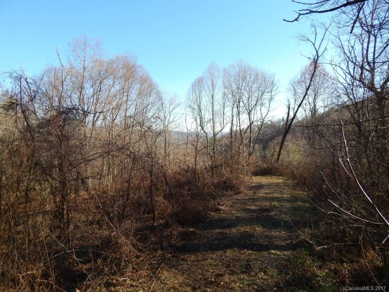 Property image 4 at Lot 11 Coyote Hollow Road, Waynesville, NC 28785