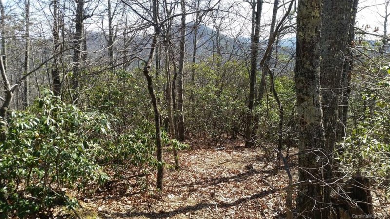 Property image 2 at 241 Miller Cove Road, Black Mountain, NC 28711