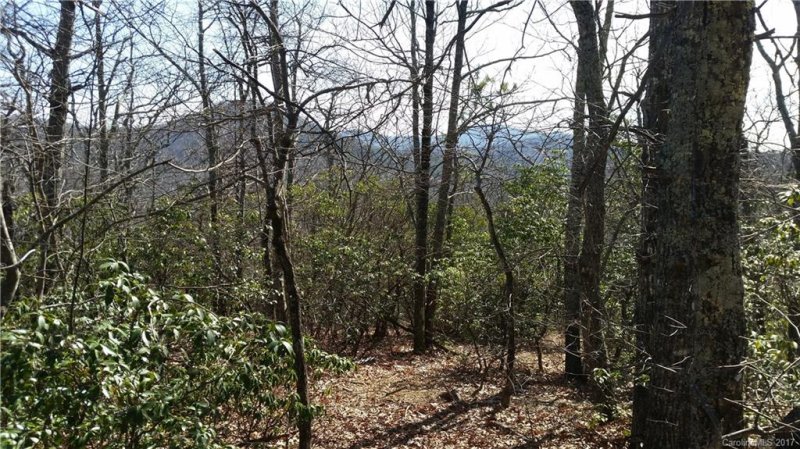 Property image 3 at 241 Miller Cove Road, Black Mountain, NC 28711