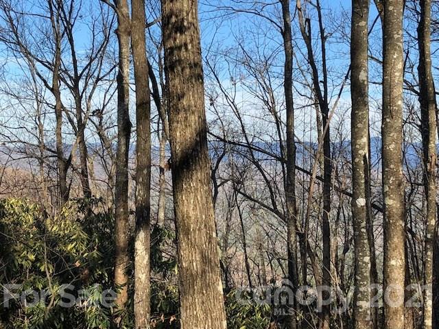 Property image 2 at Lot 7 Rock Creek Road, Rosman, NC 28772