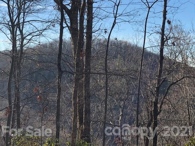 Property image 3 at Lot 7 Rock Creek Road, Rosman, NC 28772