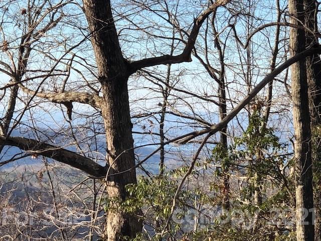 Property image 4 at Lot 7 Rock Creek Road, Rosman, NC 28772