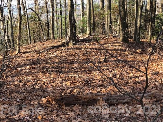 Property image 5 at Lot 7 Rock Creek Road, Rosman, NC 28772